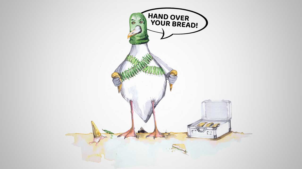 Fundraising - The Free Folk Project