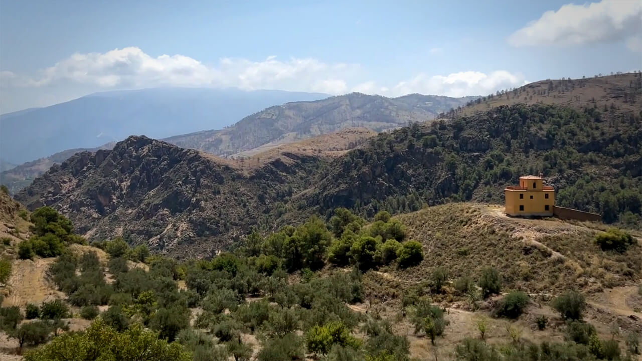 Thumbnail of The Land video